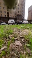 17201153433910.mp4