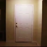 Когда выебывался на птиц.mp4
