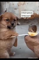 17062818597400.mp4