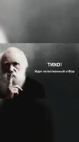 16998007761373.mp4