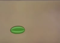 0.mp4
