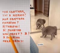17200443375052.mp4