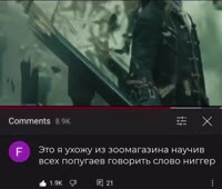 16992066055740.mp4