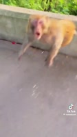 87546.mp4