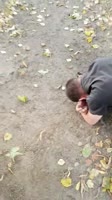 15598339152782.mp4