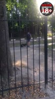 15592157089220.mp4