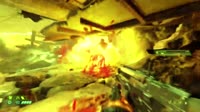 16302523562780.webm