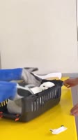 5644.mp4