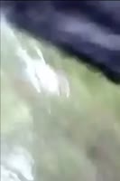 16769762643380.mp4