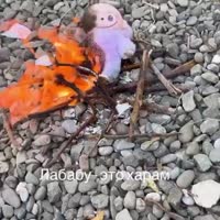 VID20250717211300401.mp4