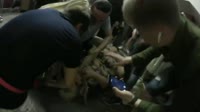 15371965469310.mp4