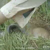16698076062970.mp4