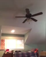 17314022428700.mp4
