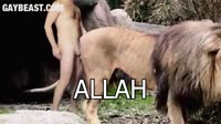 17323618616890.mp4