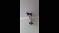 застрял.mp4