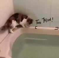 15672514962630.webm