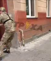 1752837854690.mp4