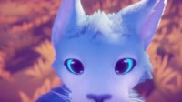 17475497811930.webm