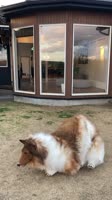 Перекат кринжа.mp4