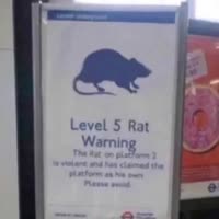 LEVEL 5 SKAVEN WARNING  Warhammer Fantasy meme dub.mp4