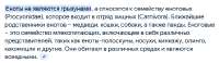 изображение.png
