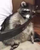 2025-07-18 15.25.18.mov