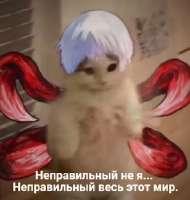 17520956001080.png