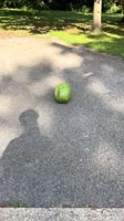 7526353658540199199@uasaverbot.mp4