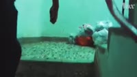 Inside Hong Kong’s cage homes.mp4