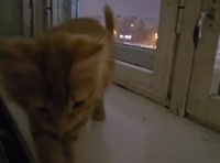 3.mp4