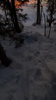5.mp4