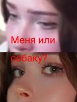 Без названия25620250719025757.jpg