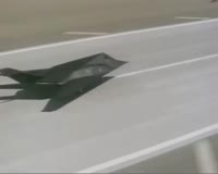 17514978974820.webm