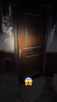 17534509551491.mp4