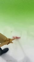 17529393903462.mp4
