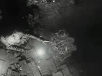 7303919431531400453.mp4