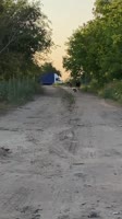 c3175513b62fe4dbf199efb2647b5927.mp4