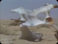video2025-07-2700-12-32.mp4