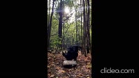 17532135336740.mp4