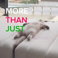 959685884.mp4