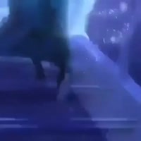 1642916985304.webm