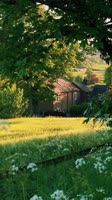Spring in the English countryside.mp4