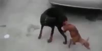 VID202410111905527988.mp4