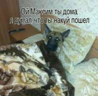 Приколы-для-даунов-5098694.jpeg