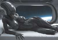 6e3794f824c9081e5566d0d80764a50b2-AnthroGuy.png