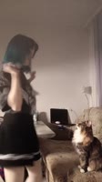 17483262611920.mp4