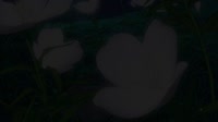 .webm
