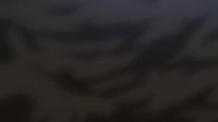 14826973162853.mp4