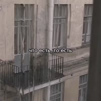 17543256035231.mp4