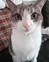 617177282.mp4